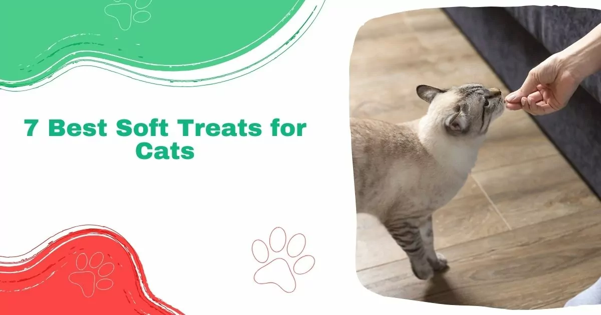 7 Best Soft Treats for Cats