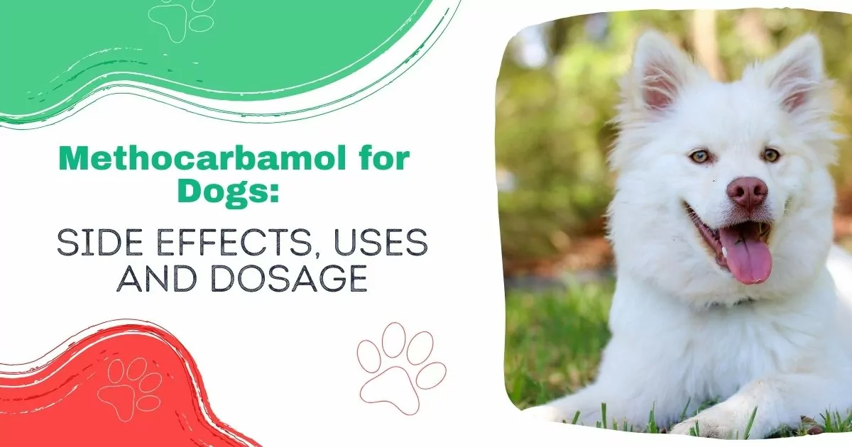 Methocarbamol for Dogs
