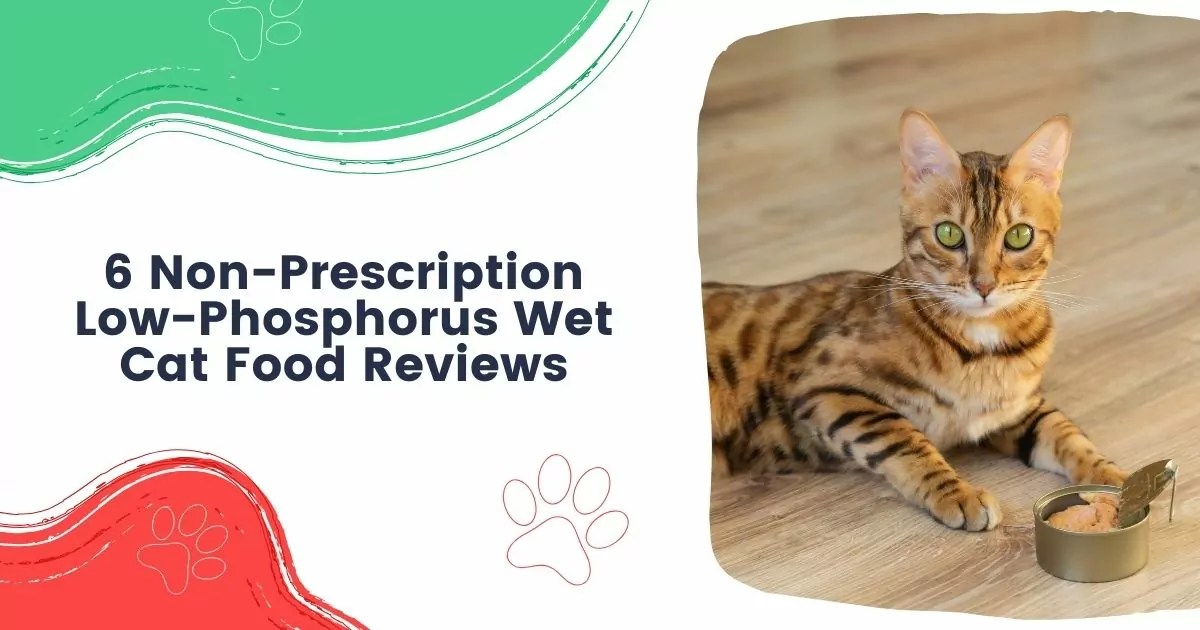 Non-Prescription Low-Phosphorus Wet Cat Food