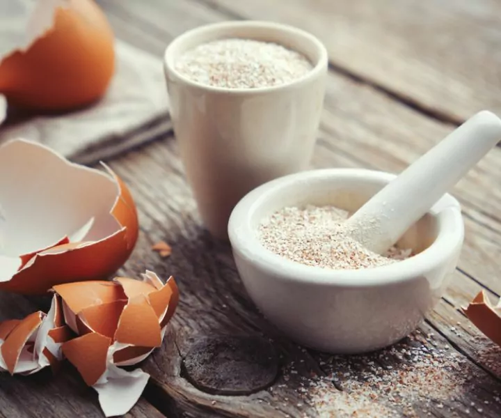 empty eggshells on a wooden table and eggshell powder in a white mortar and pestle