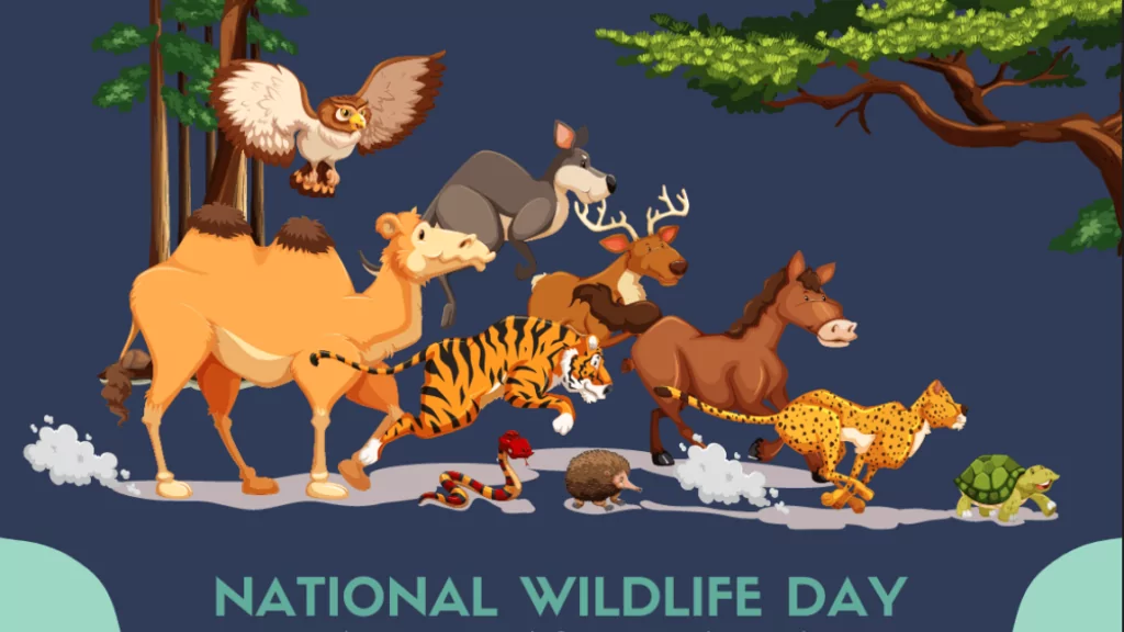 national wildlife day
