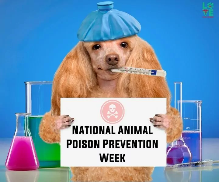 national animal poison prevention week